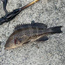 いろいろ楽しい