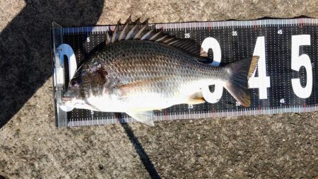 ぶら台風後調査!!