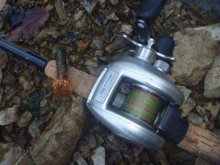 夏のバスフィッシング