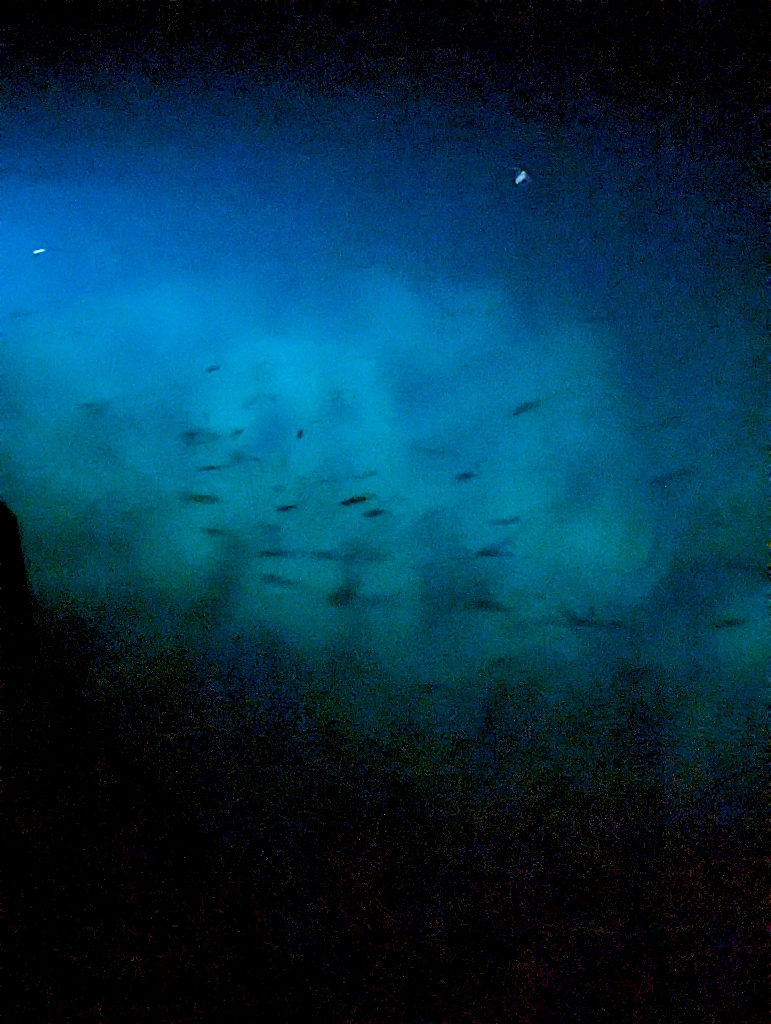 4目ライトゲーム