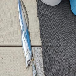 お土産いっぱい（サウス）