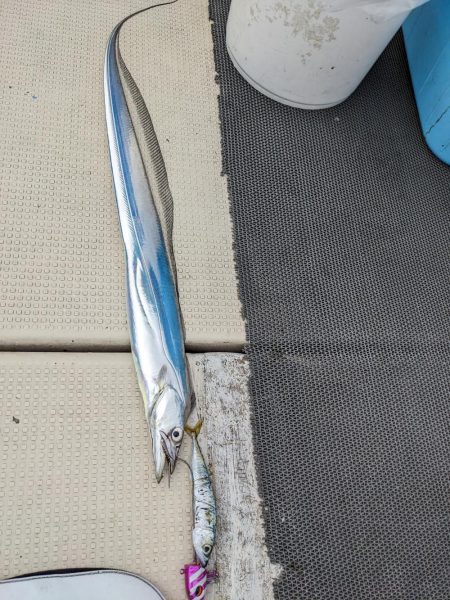 お土産いっぱい（サウス）