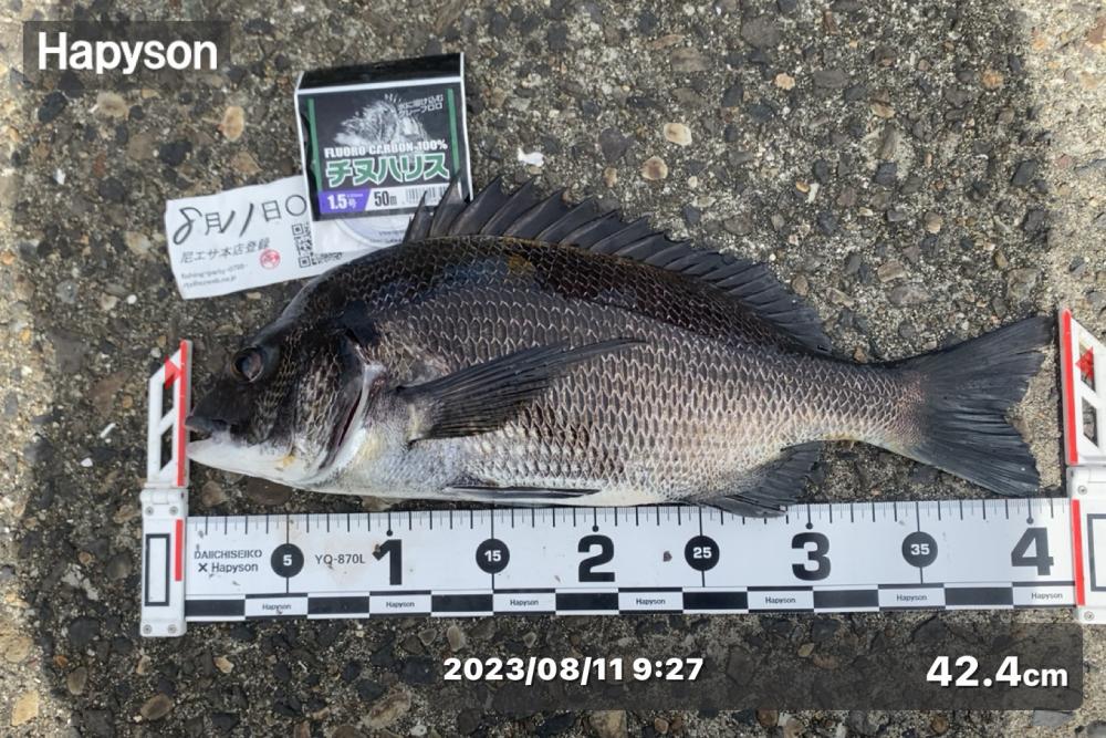 朝方から釣り始め