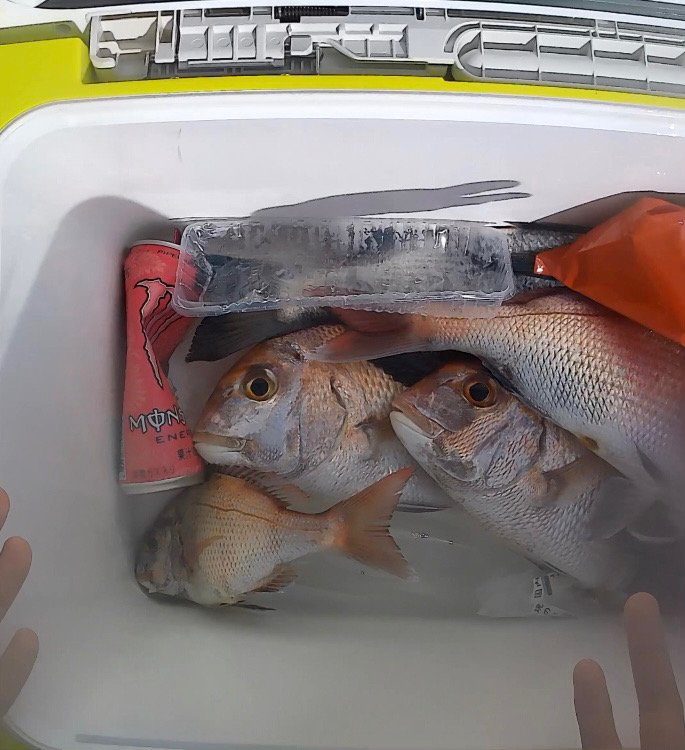 渋ヒトツテンヤ竿頭！