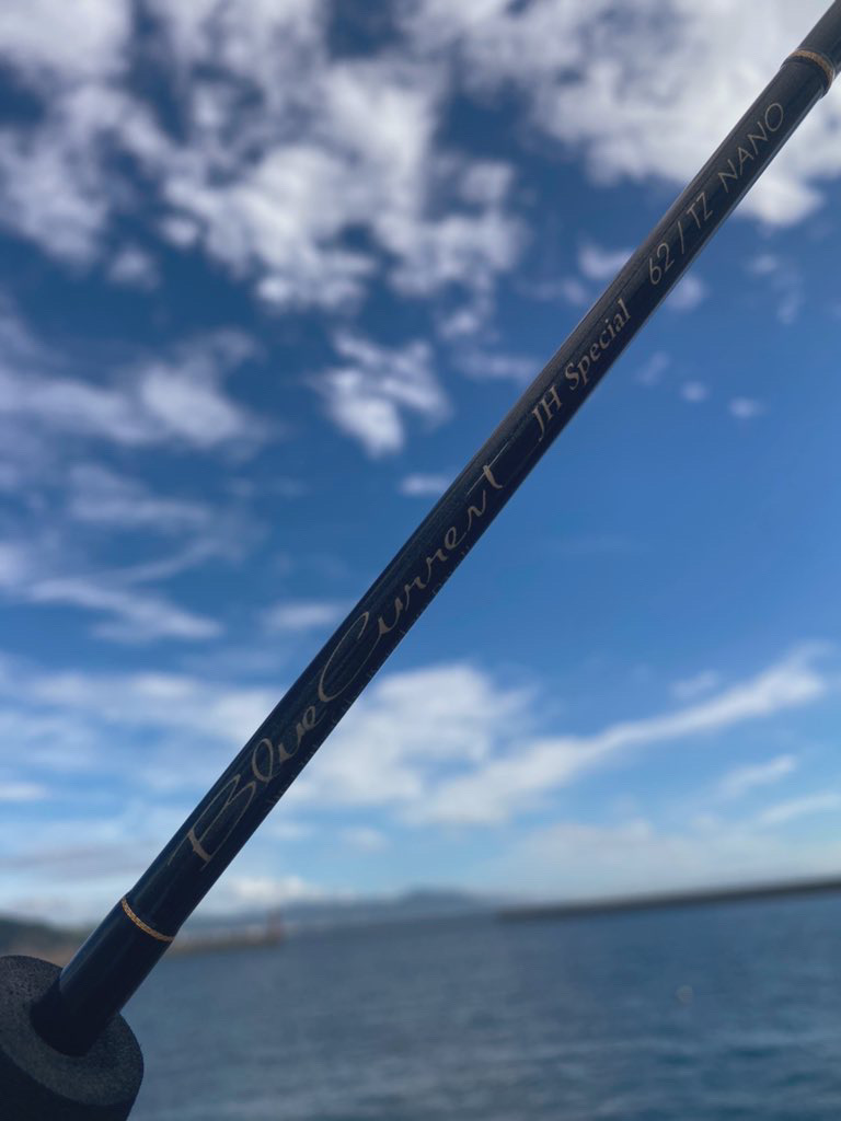 Newロッド鱗付けアジング