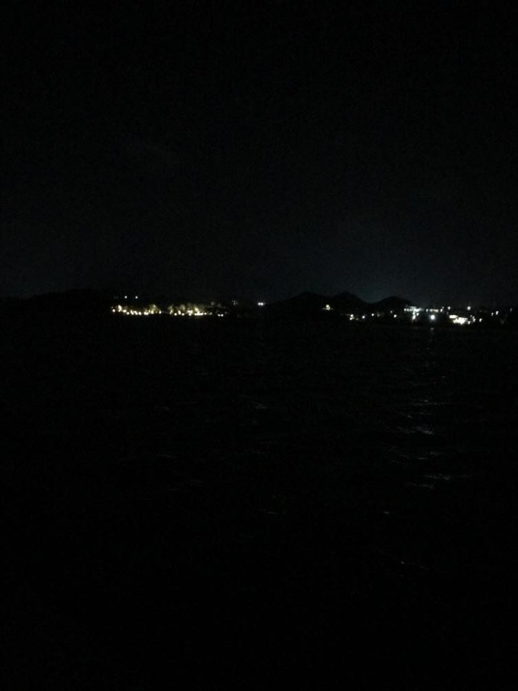 アジがつれたー♪