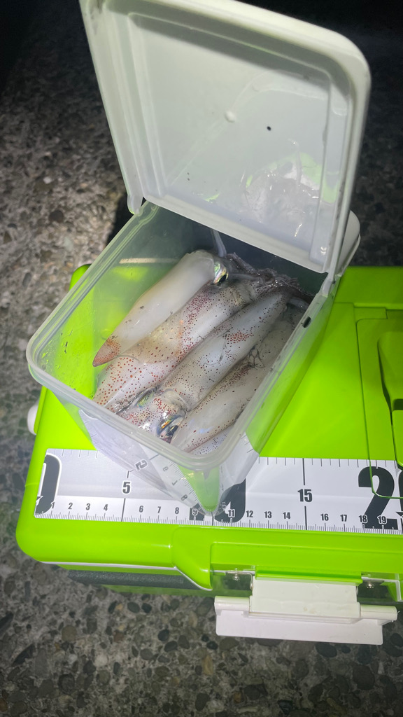 SSKさん！ケンサキ釣れてますよ〜♪