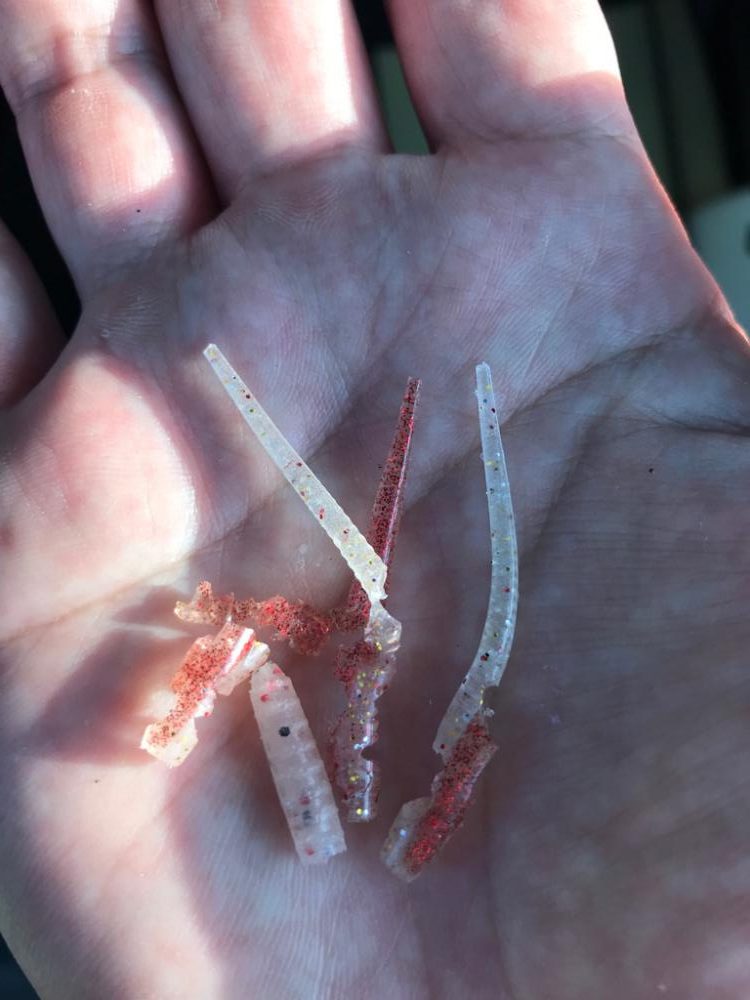 残猛暑が続く中…🥵💦