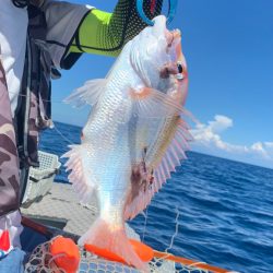 酷暑のボート釣行