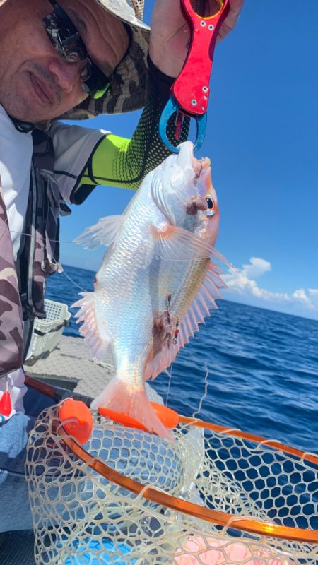 酷暑のボート釣行