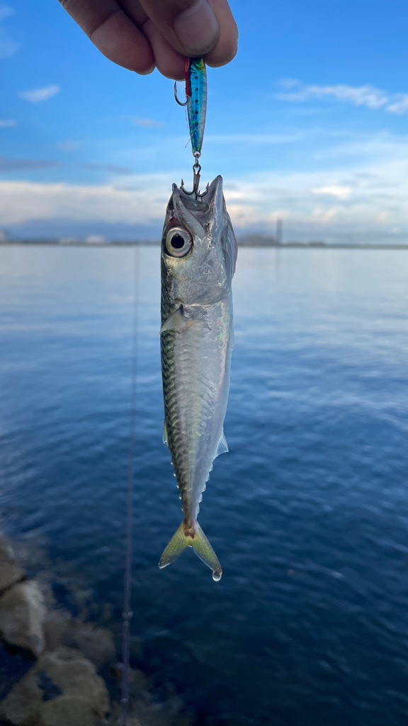 稲光のおかげ？