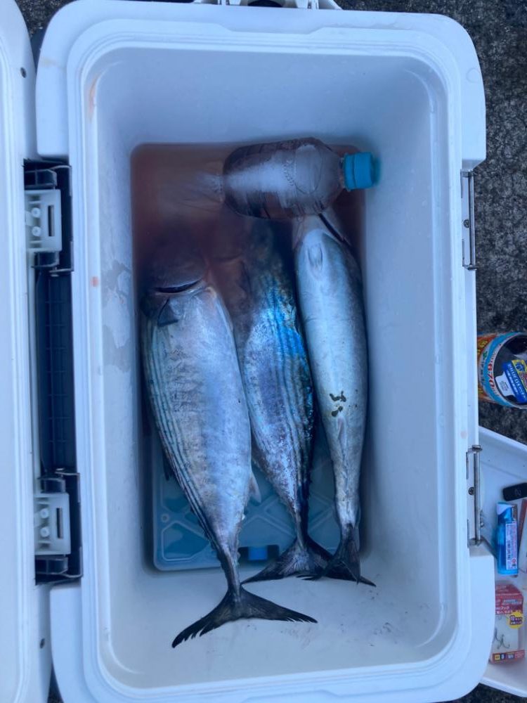 台風前の高活性