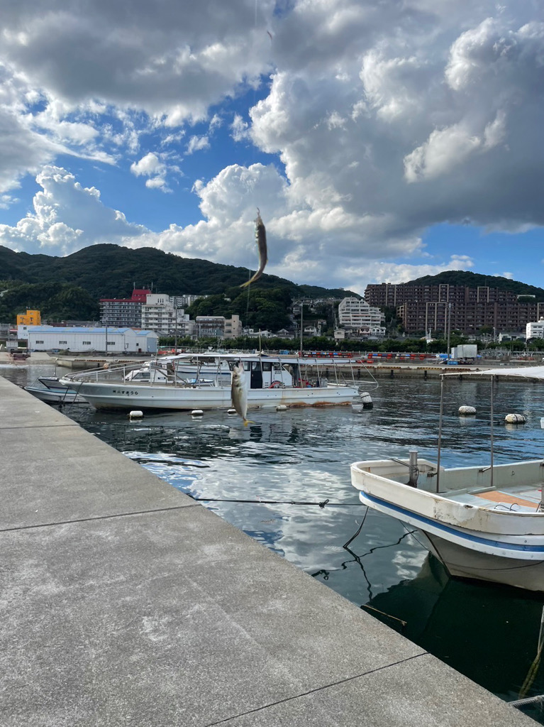 須磨でサビキ釣り