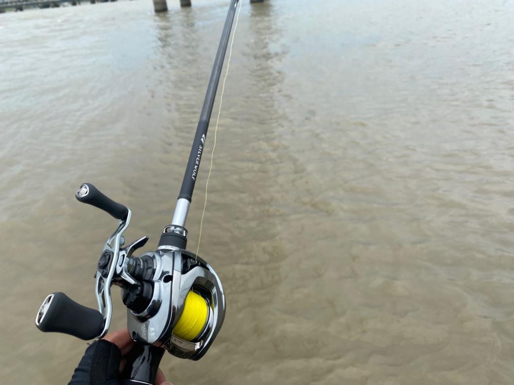 淀川水系チニング