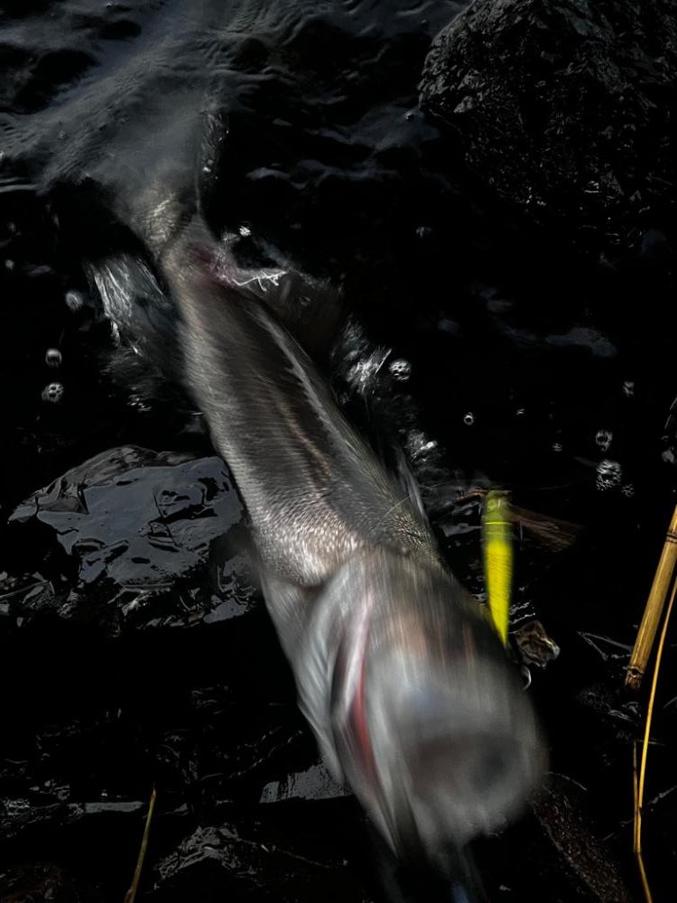 いなっこパターン