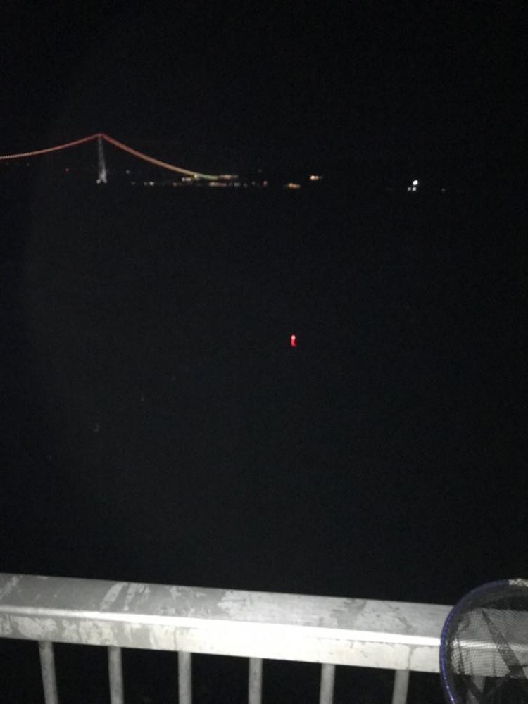 ちょい投げガシラ