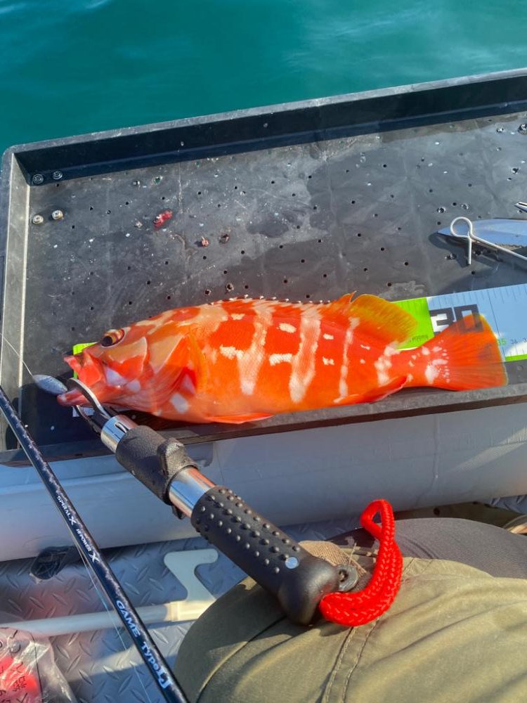 マイボート釣行