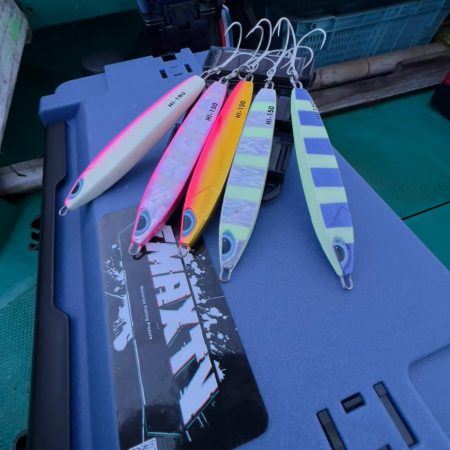 タチウオ/タチウオジギング