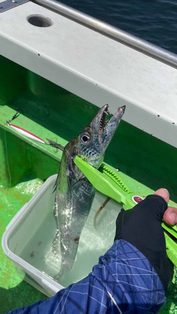 CLUE オフショア大会　8月