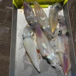 台風の影響下でイカメタル