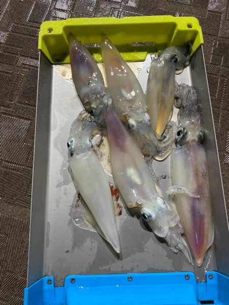 台風の影響下でイカメタル