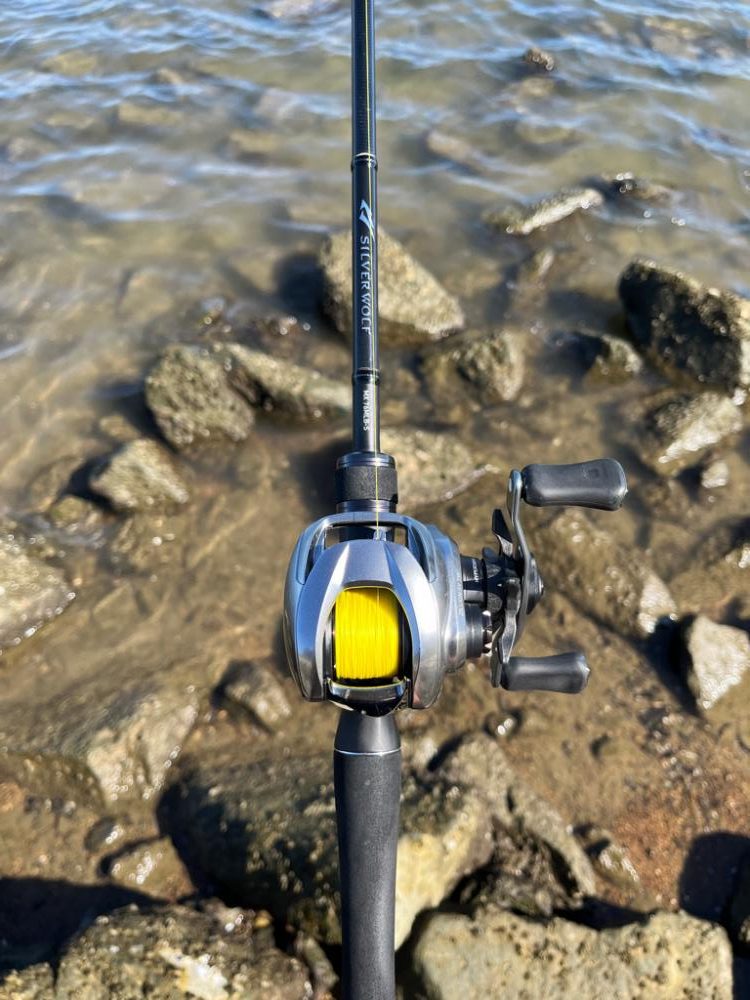 1か月半ぶりの…