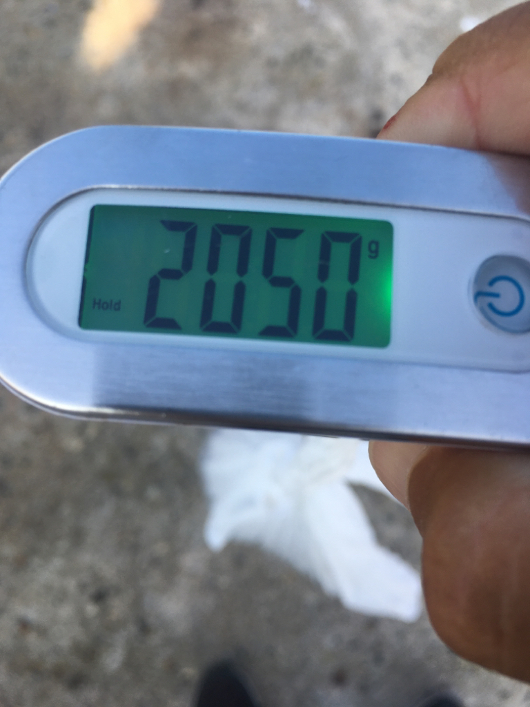 【タコフィネス】苦潮下でのタコ戦略