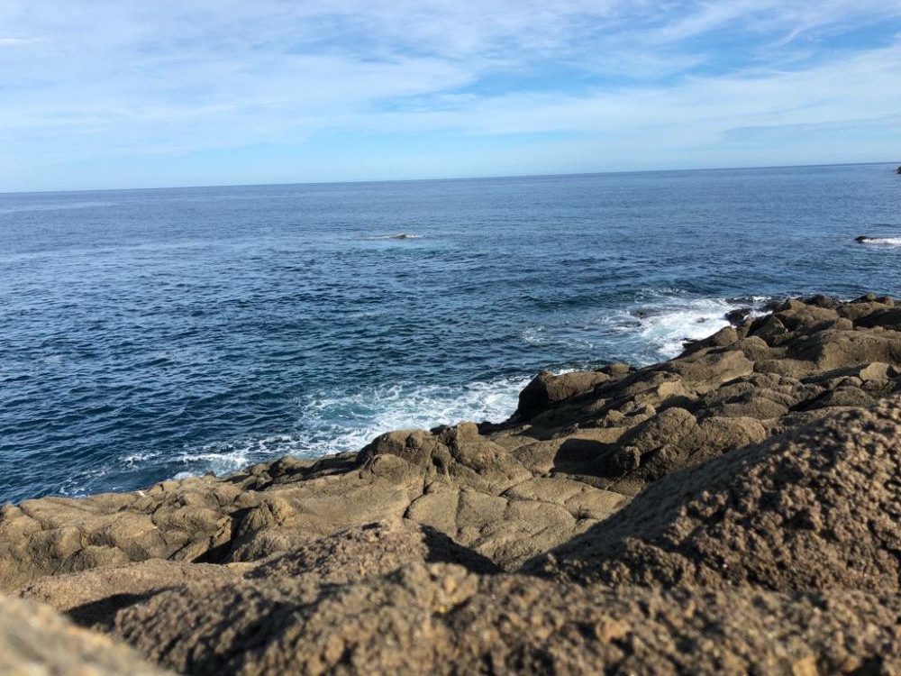 ✨鶴岡ロックショア✨