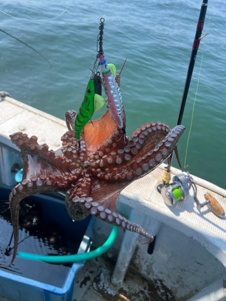 明石タコ釣り後半戦🐙