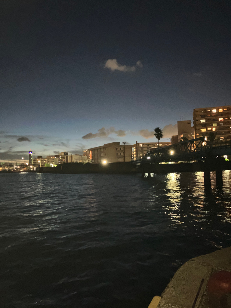 ダイバーが恐れる危険生物キャッチ