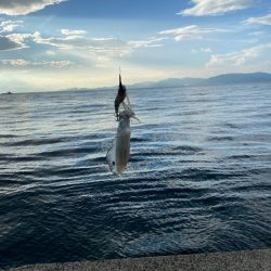 ファミリーフィッシング