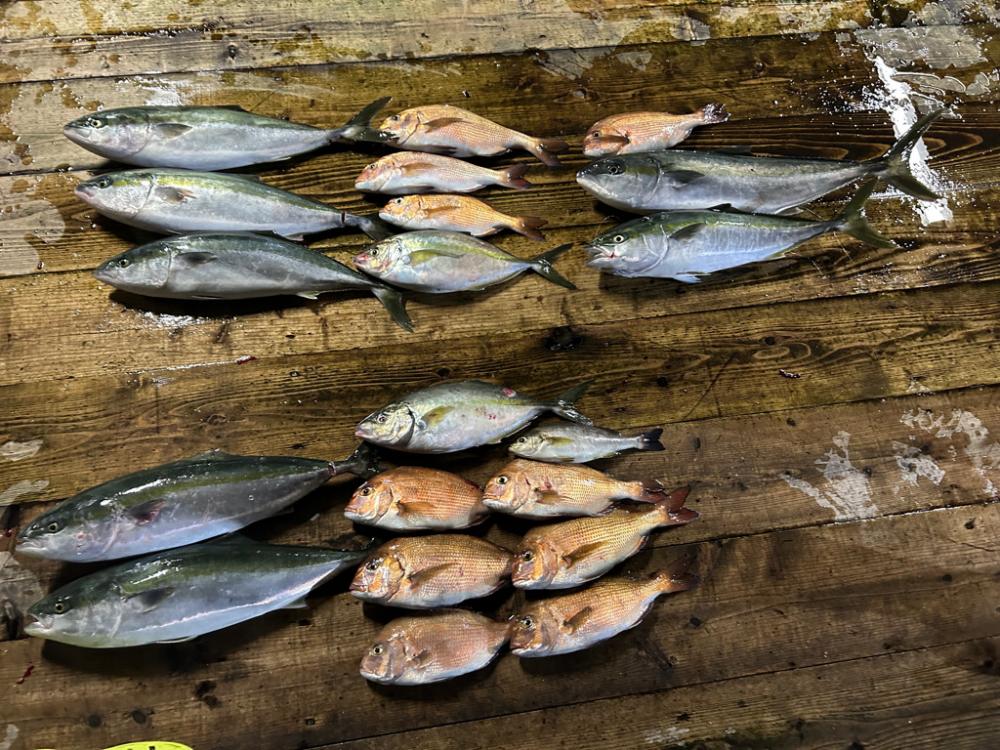 あなたに逢い鯛釣り堀　夕まずめコース