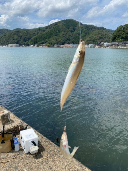 ライトちょい投げ五目