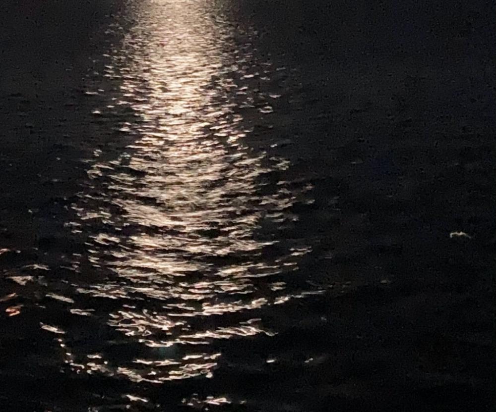 アジ減った⁈涙