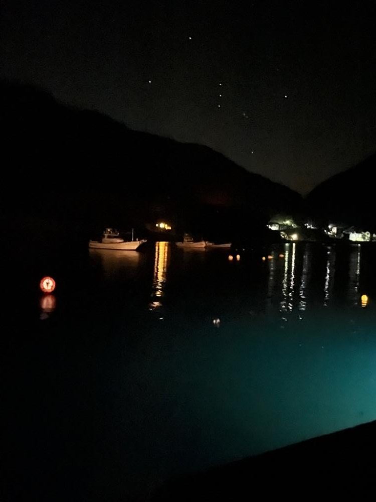 今年初エギング