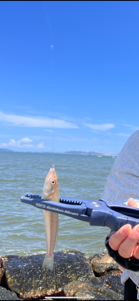 炎天下のサーフ責め!