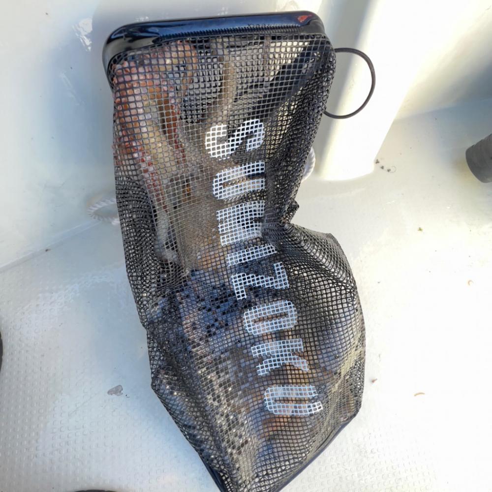 タコ/エギタコ&鬼アジ/サビキ