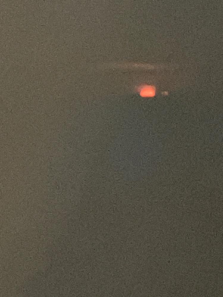 ケンサキ釣り10日目(^｡^)