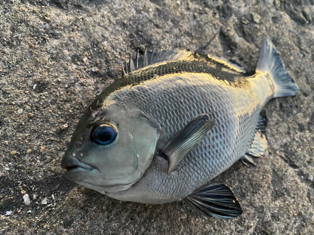 暑さが厳しい中