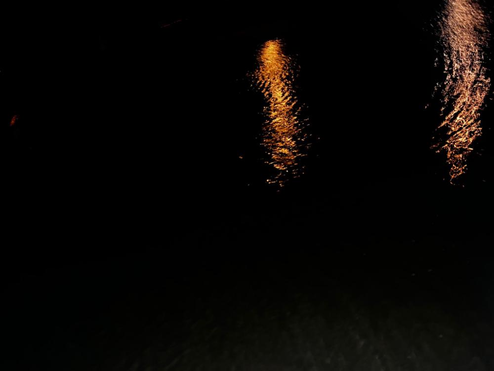 ベイトシーバス