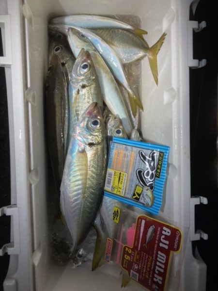 ボートアジング