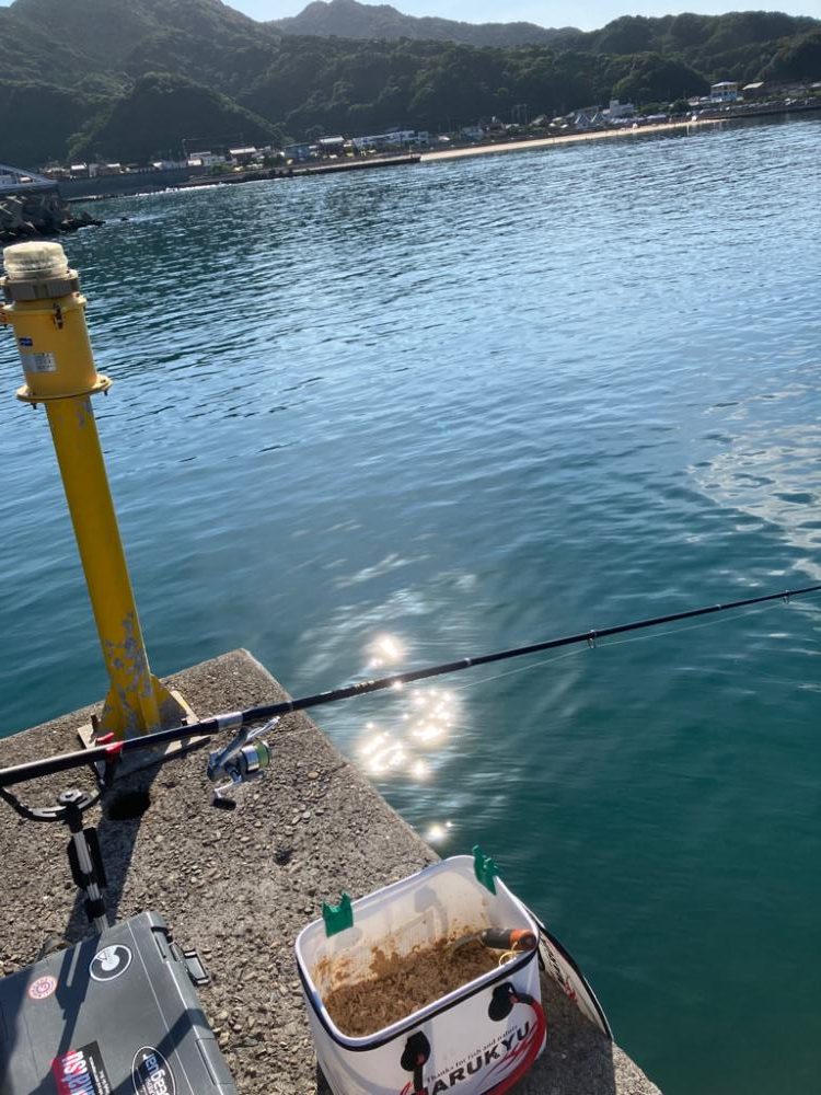 波止ライトカゴ釣り