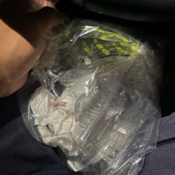 清掃活動：虹ノ松原でキス釣りしてきました