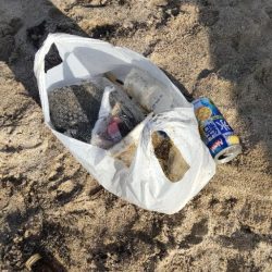 清掃活動：夏釣り最高！