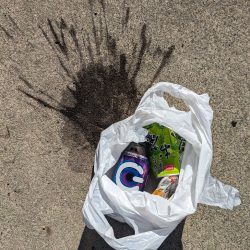 清掃活動：夜でも熱中症に注意