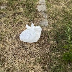 清掃活動：アジフィーバー⓹