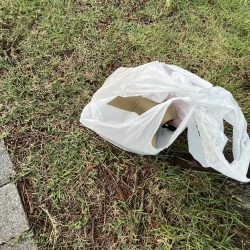 清掃活動：アジしか勝たん②