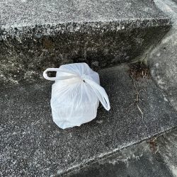 清掃活動：シオっぺ