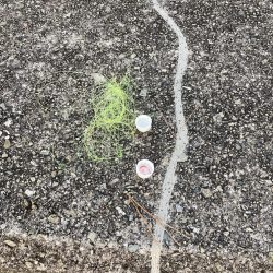 清掃活動：台風後のサビキ釣り