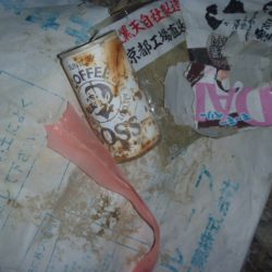 清掃活動：夏のバスフィッシング